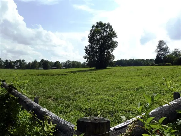 What to Know Before Buying Land in Maryland